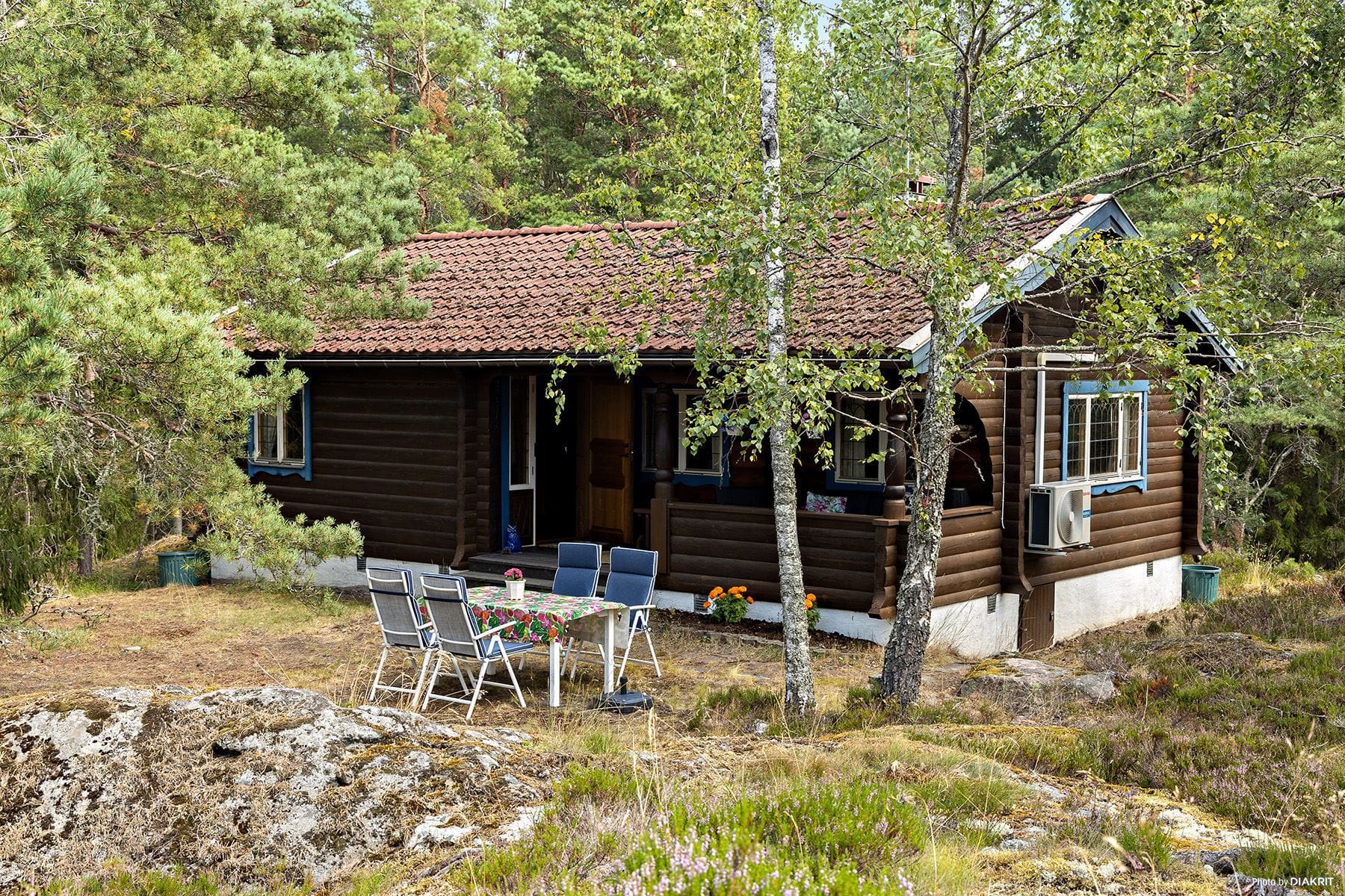 Exteriör