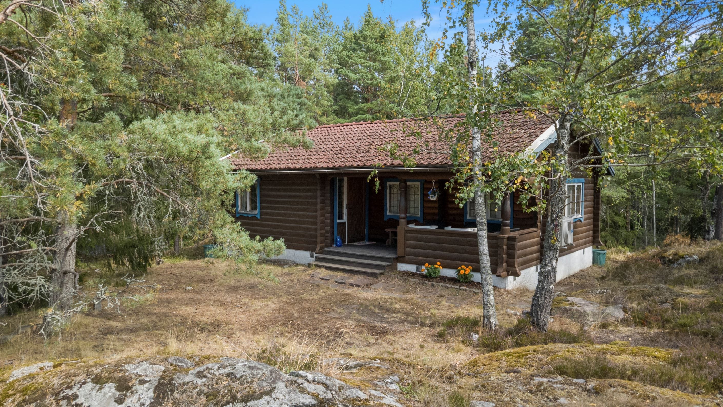 Exteriör
