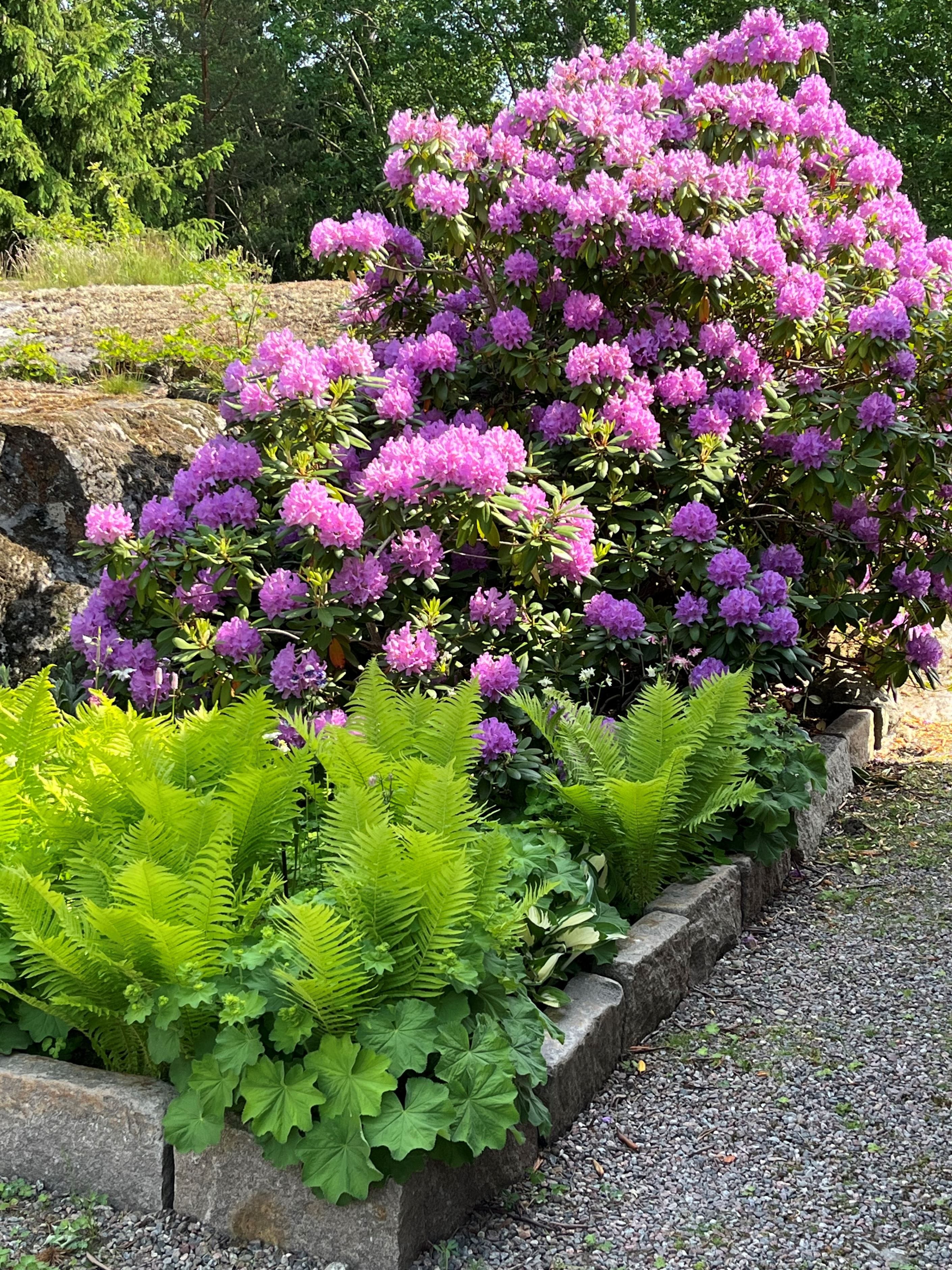 Säljarens sommarbild