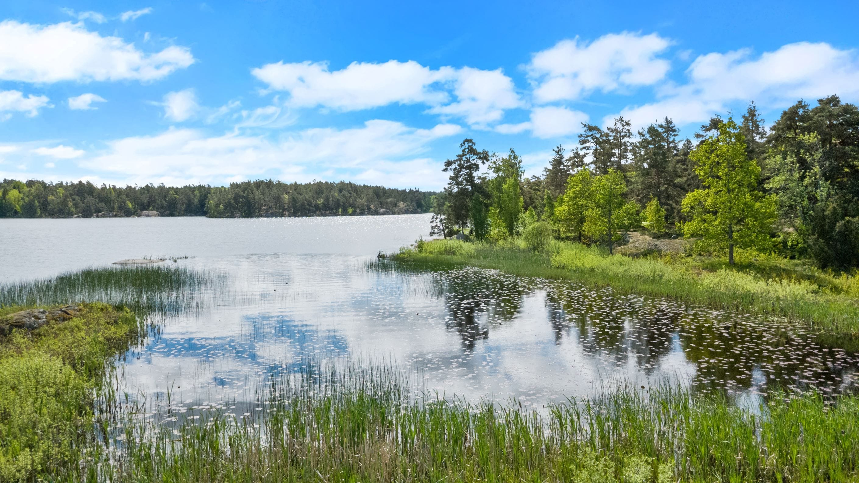 Kvarnsjön