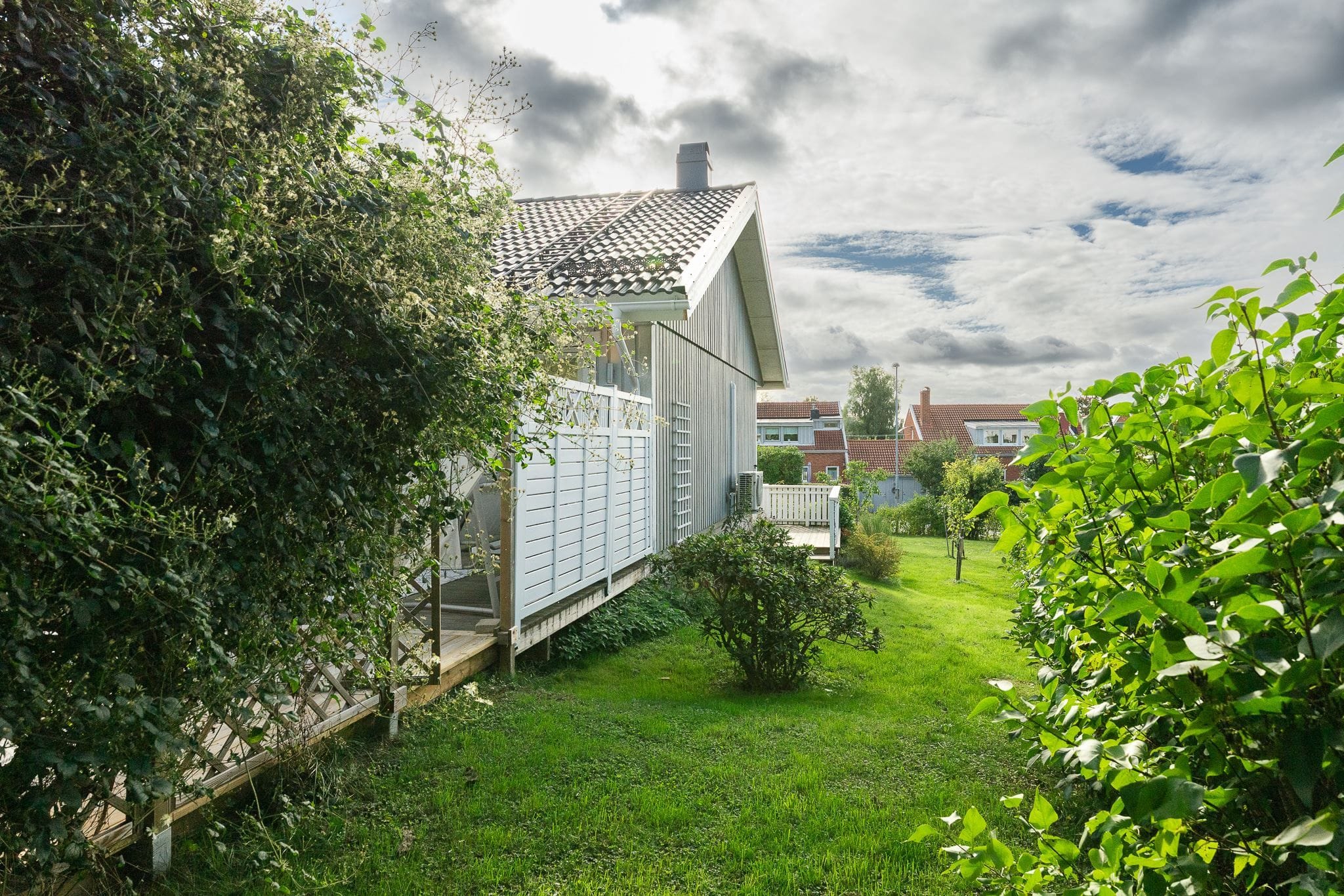 Trädgård