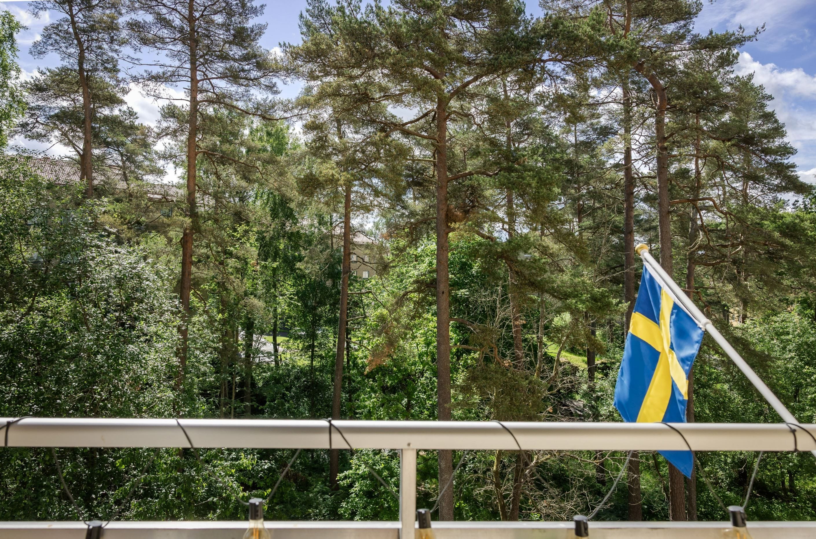 Utsikt