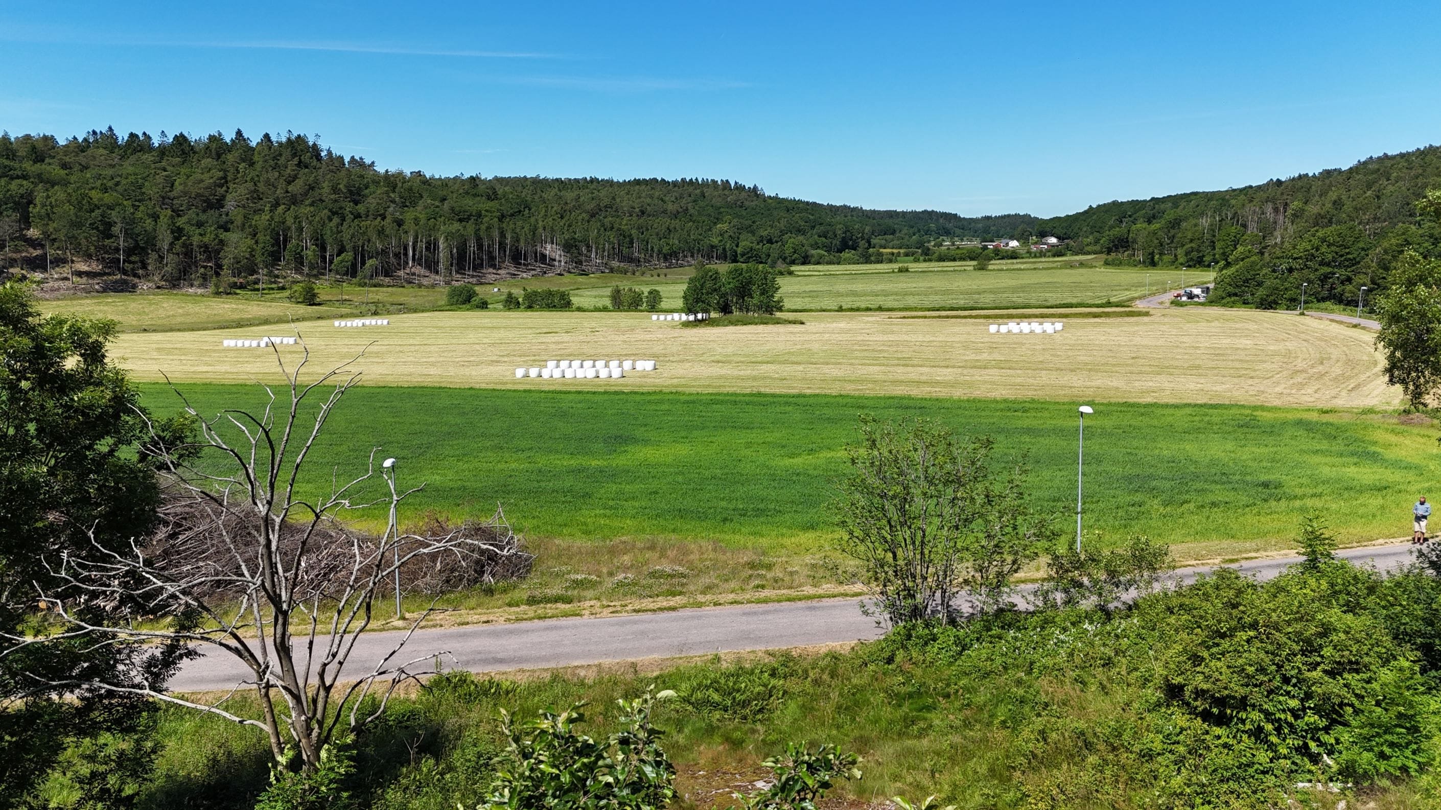 Utsikt