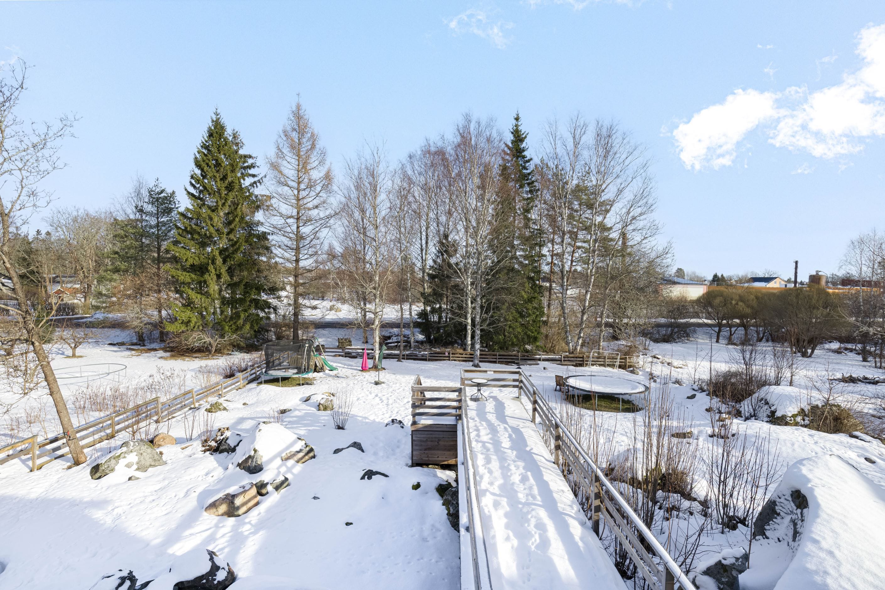 Utsikt över trädgården