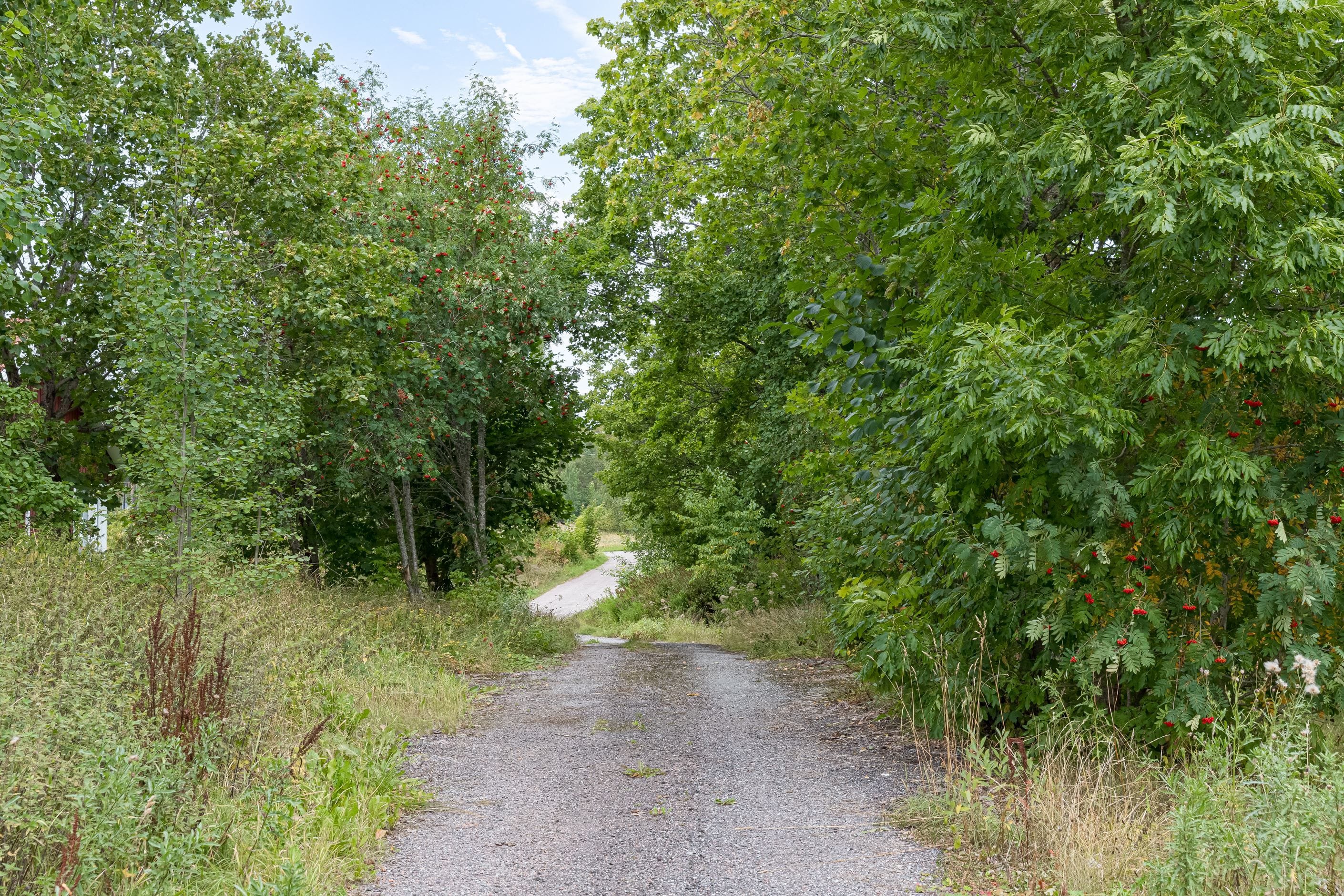 Allé in till tomt