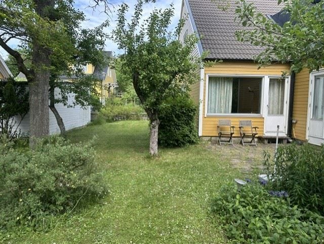 Trädgård