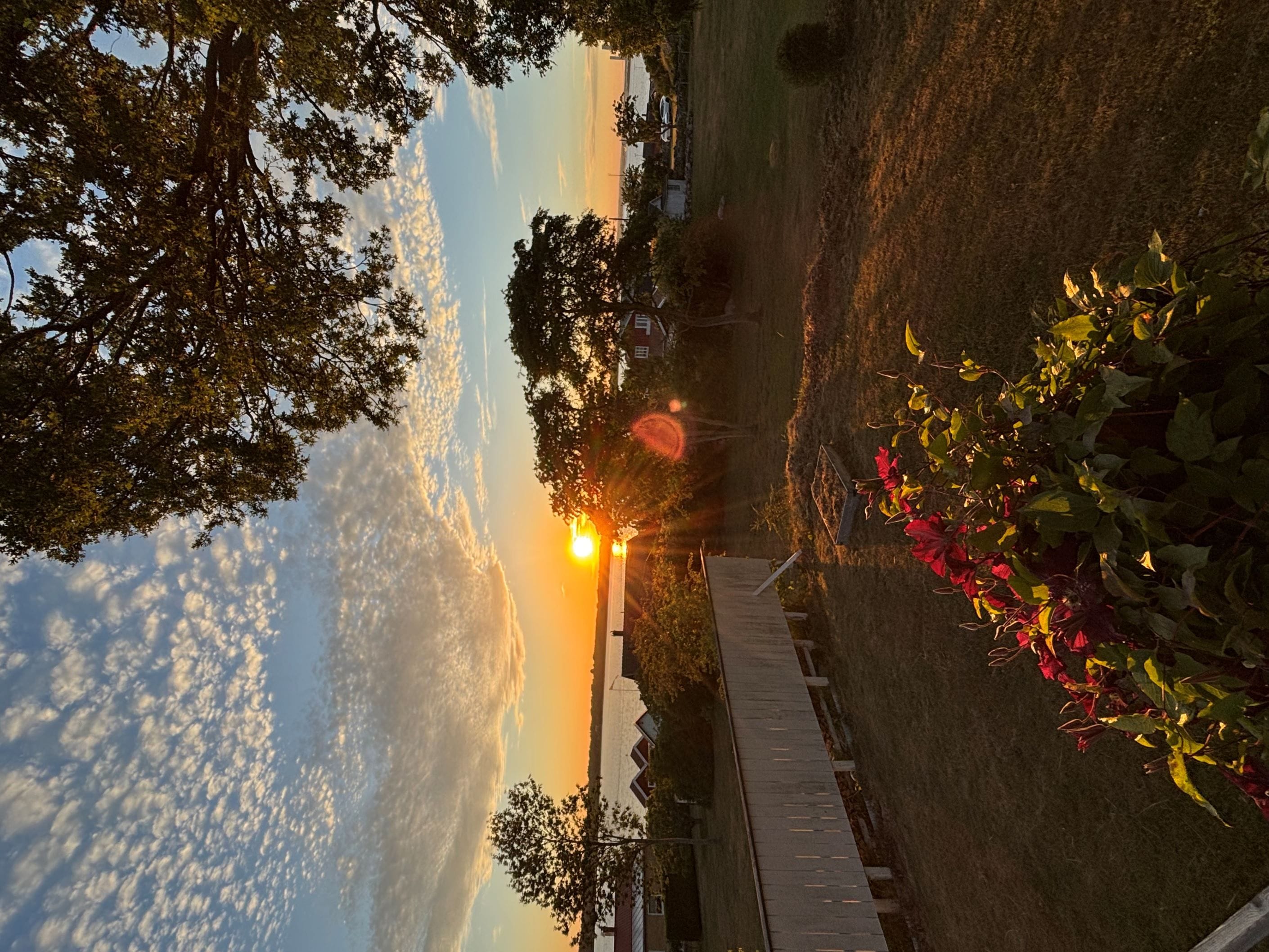 Säljarens egna sommarbilder
