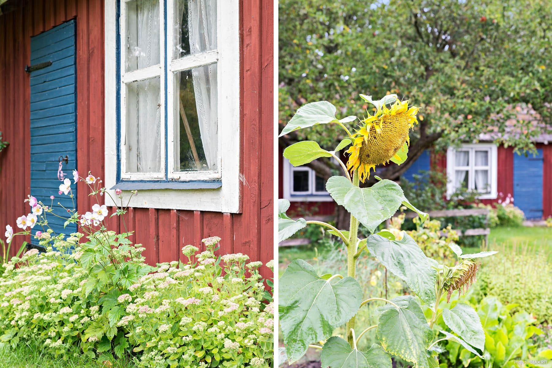 Detaljbild