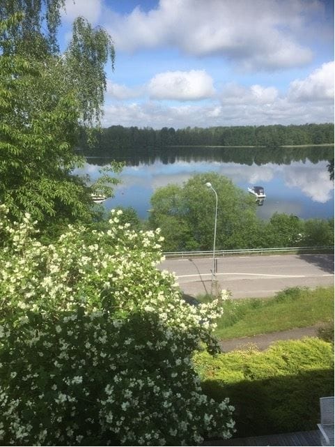 Säljarens bild
