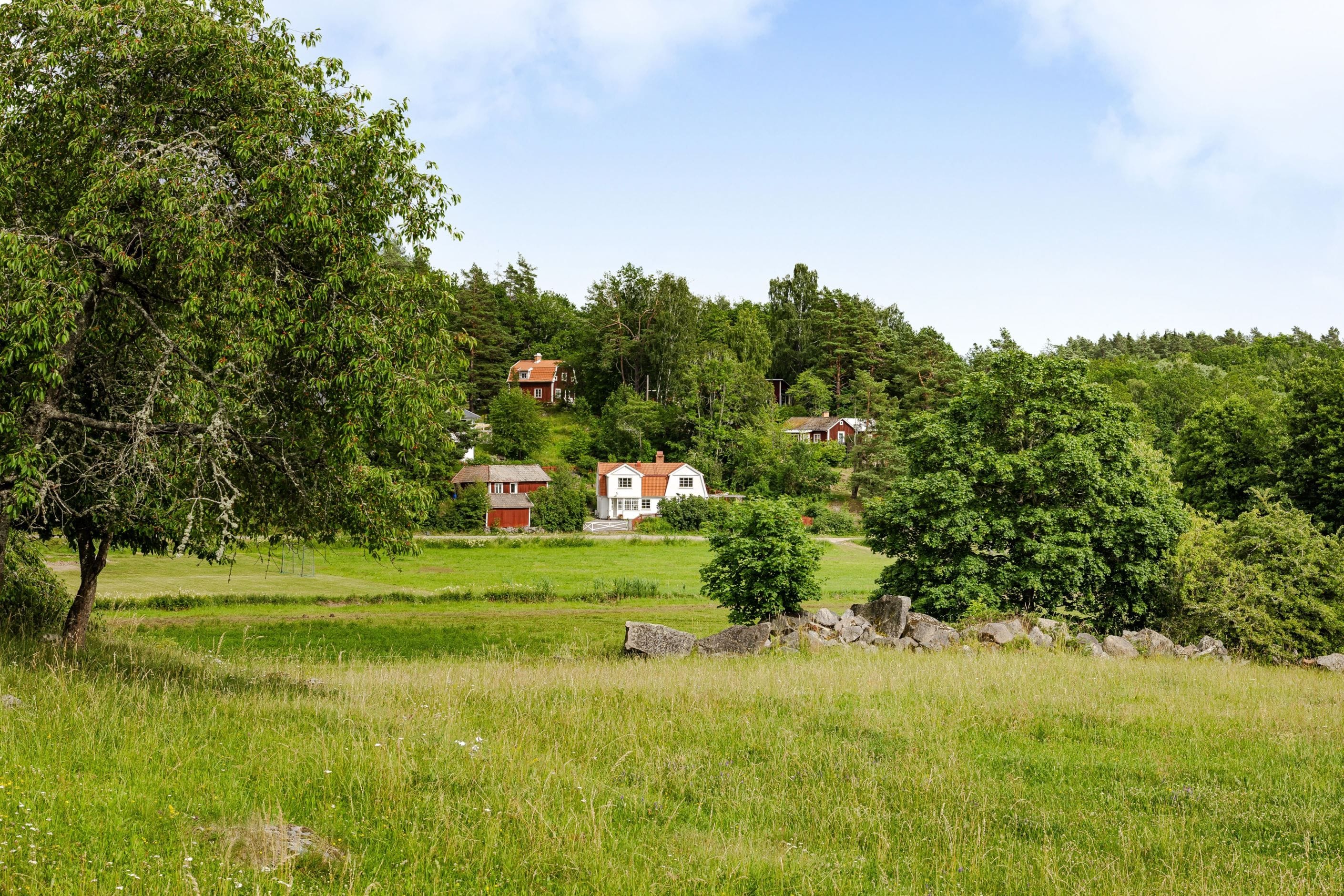 Bildkategori