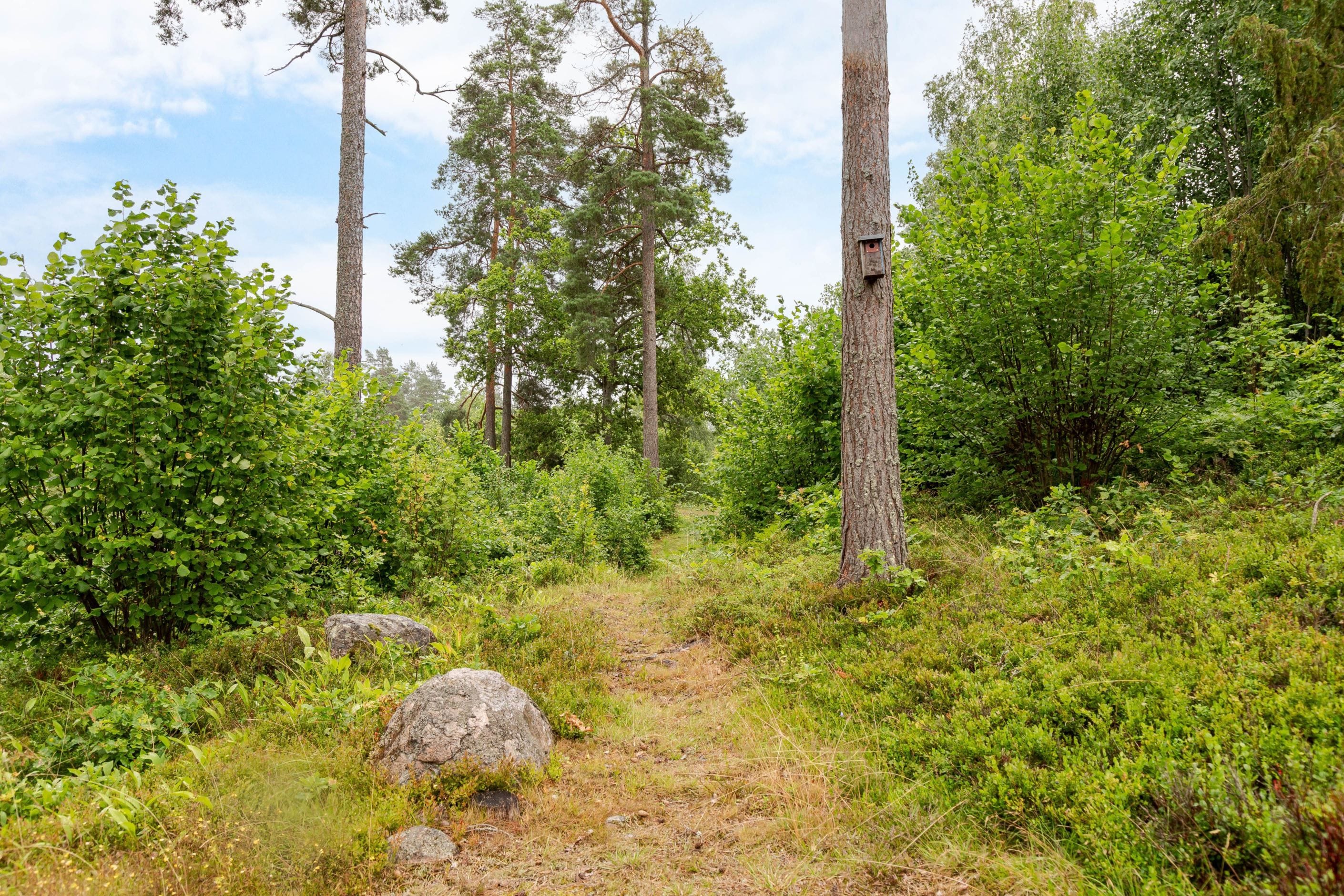 Bildkategori