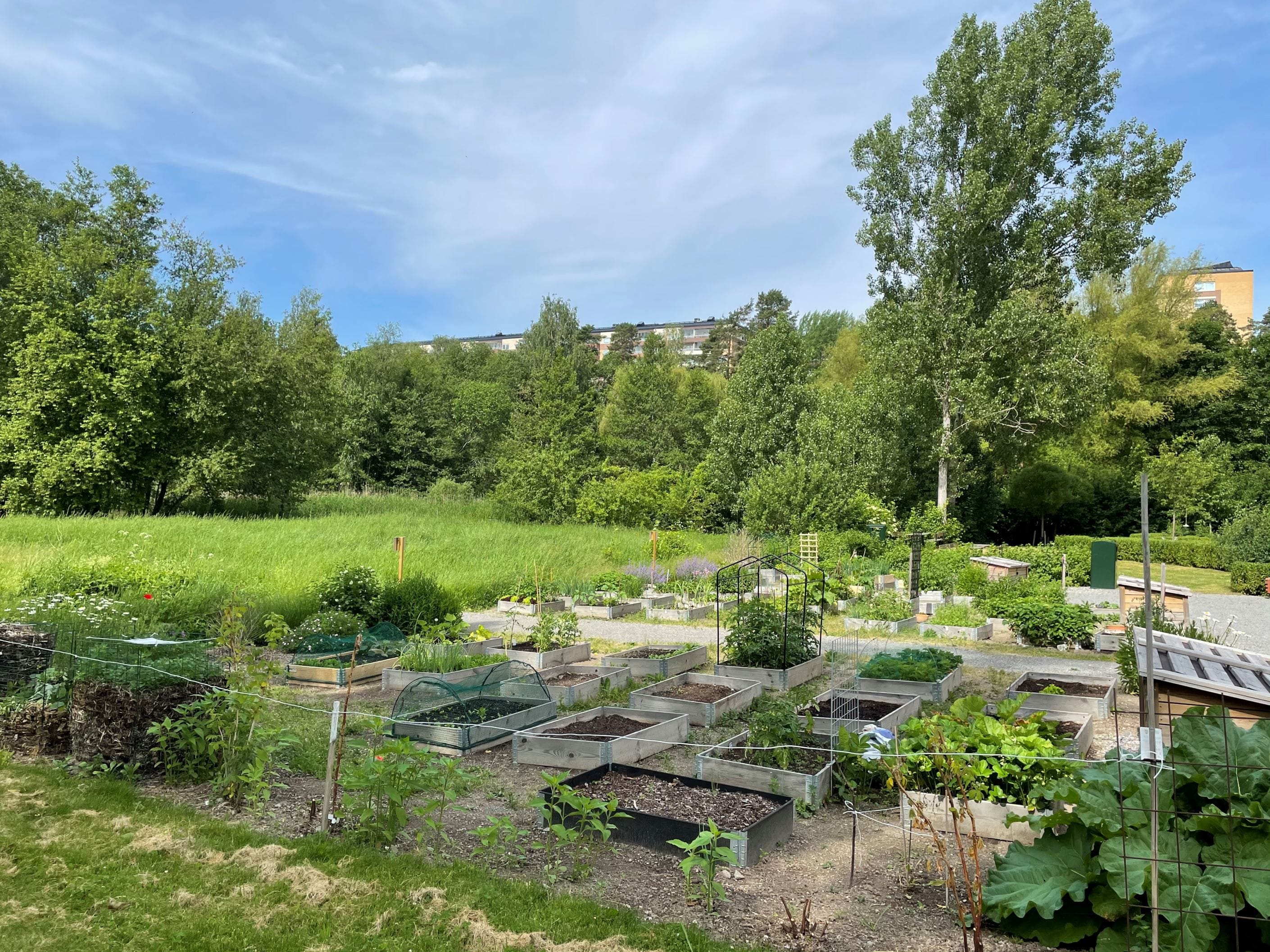 Odlingsområdet