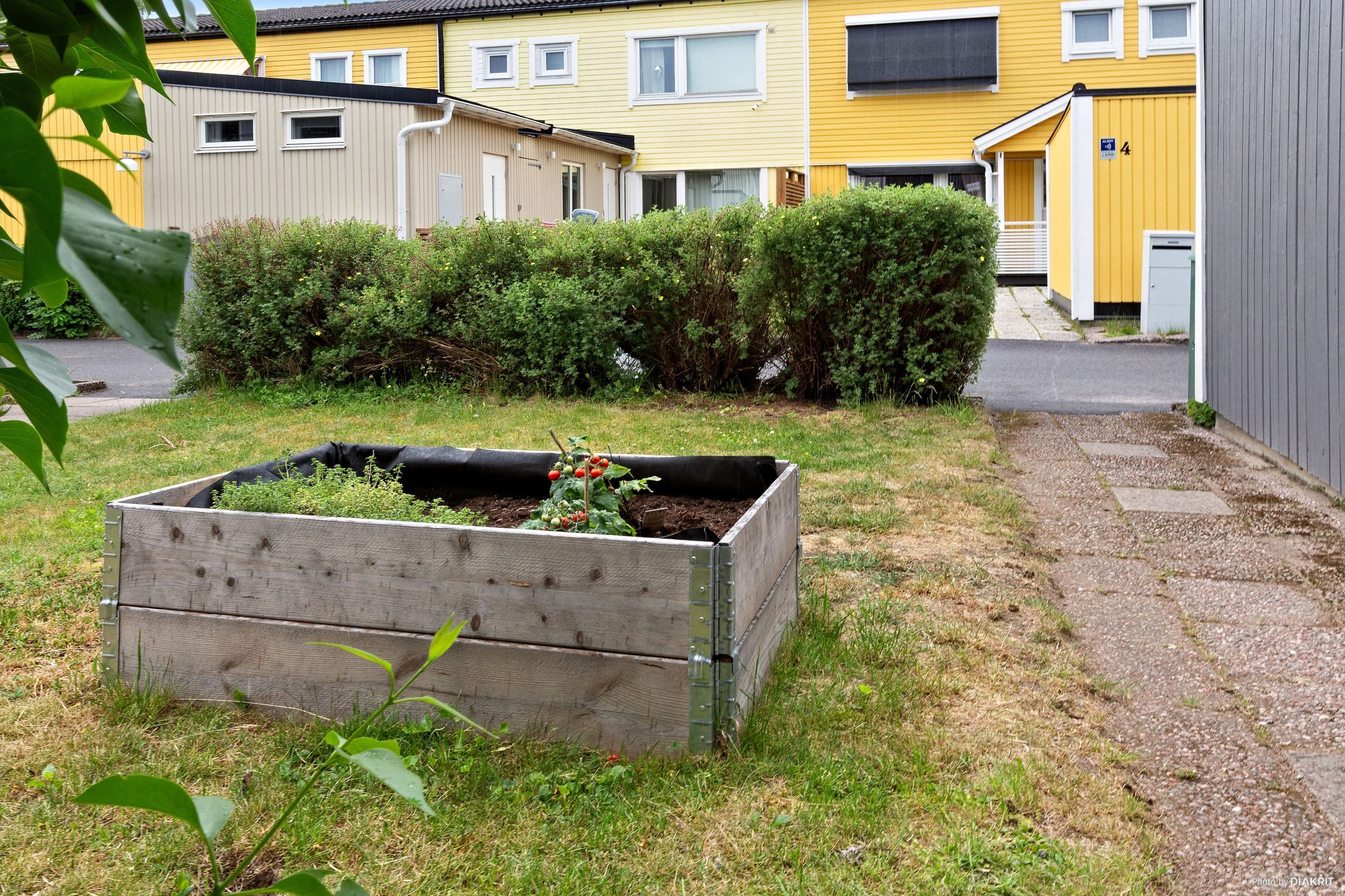Odlingslåda på tomten