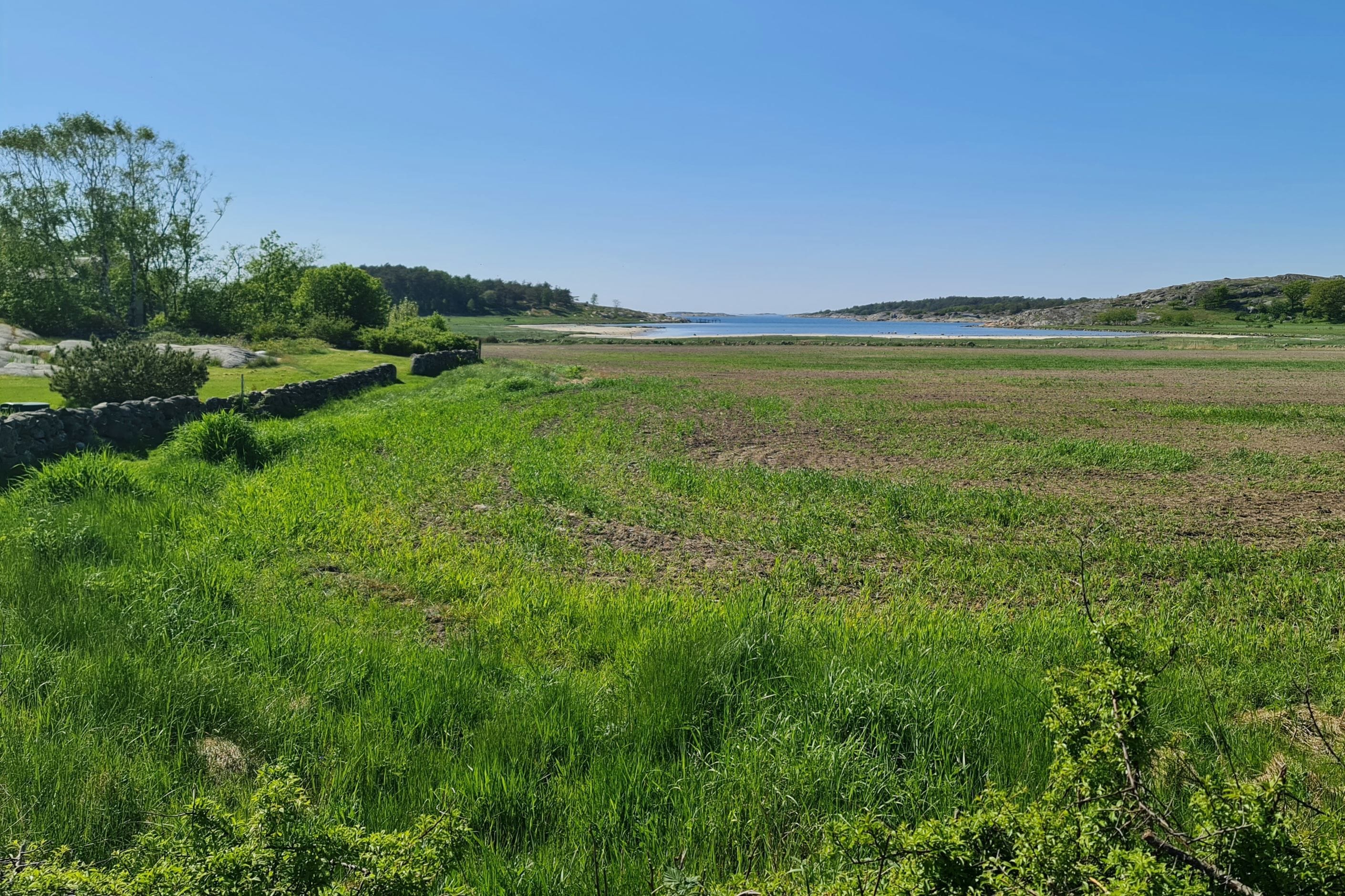Nära havet