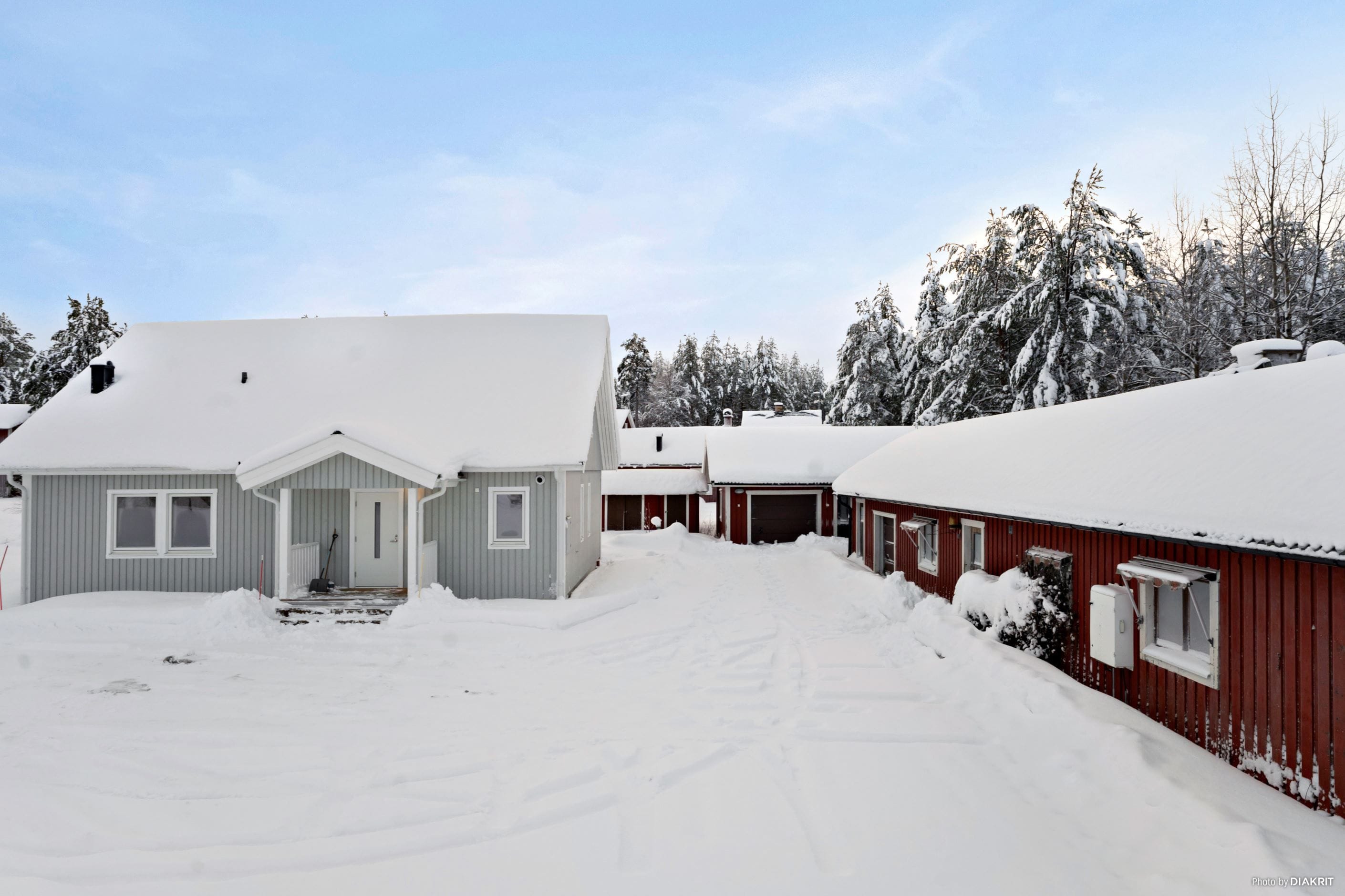 Exteriör