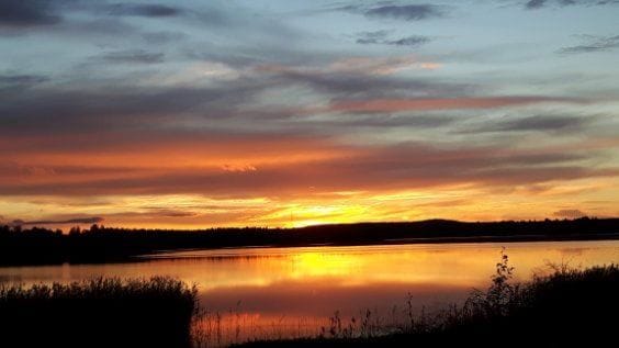 Säljarens egna bild