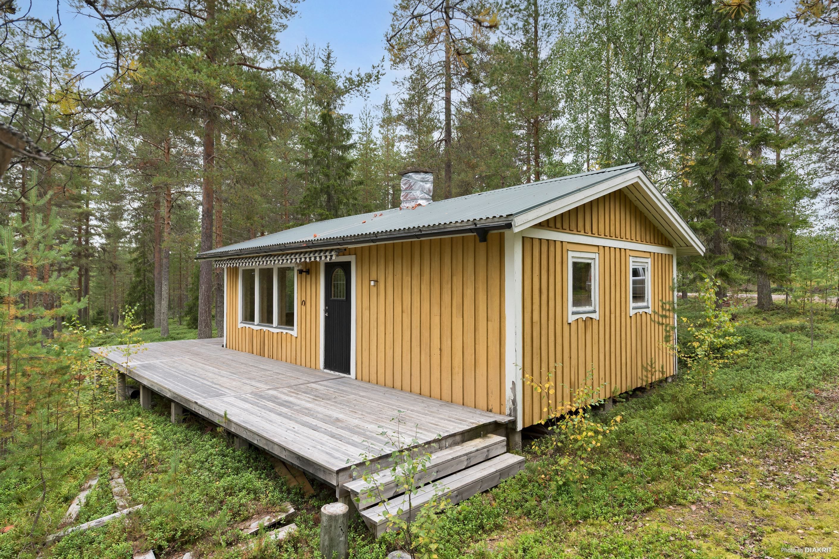 Exteriör