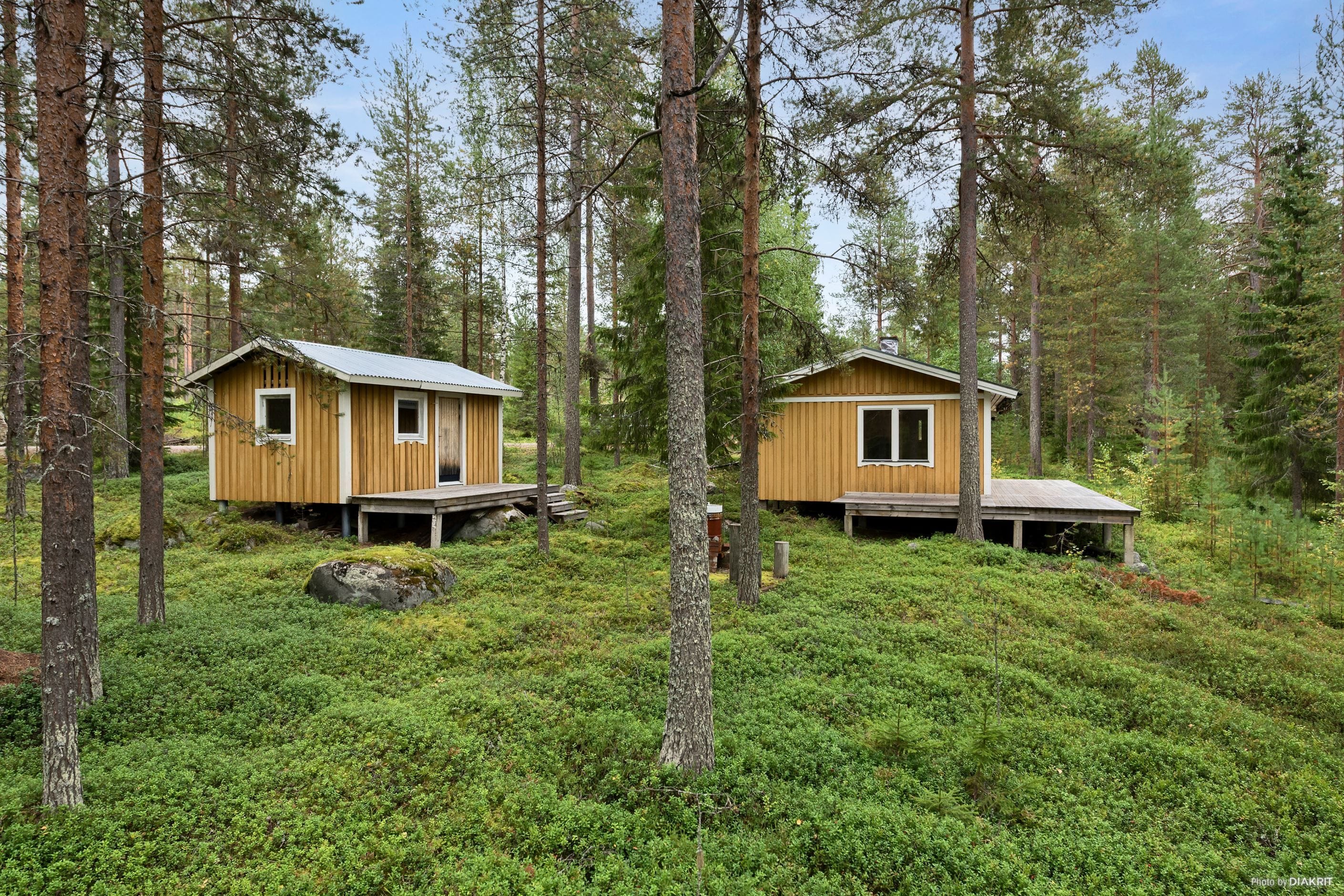 Exteriör