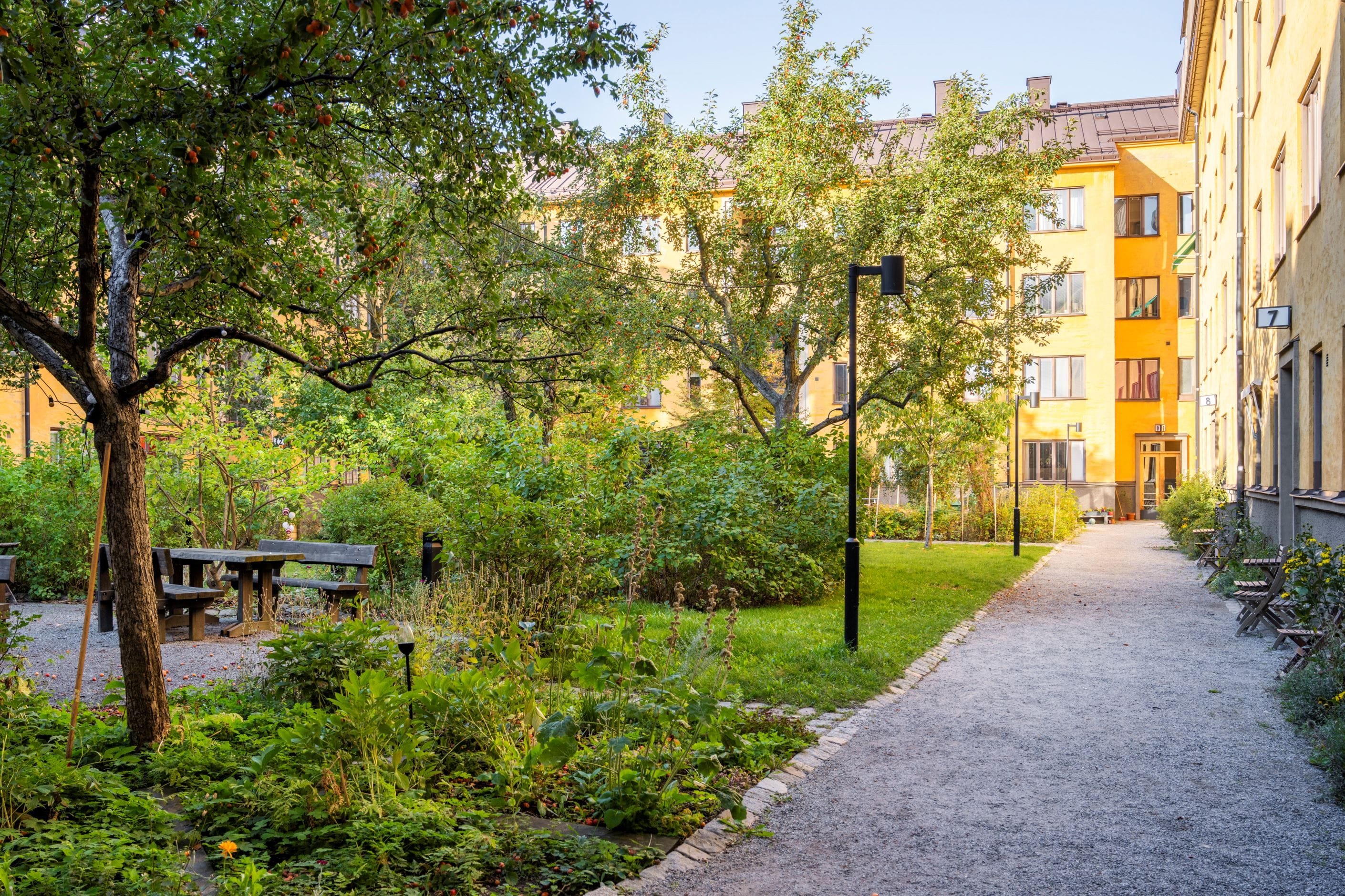 Föreningens lummiga innergård