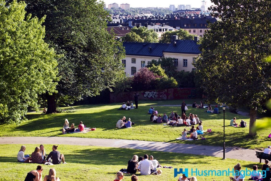 Grönskande Vitabergsparken sommartid
