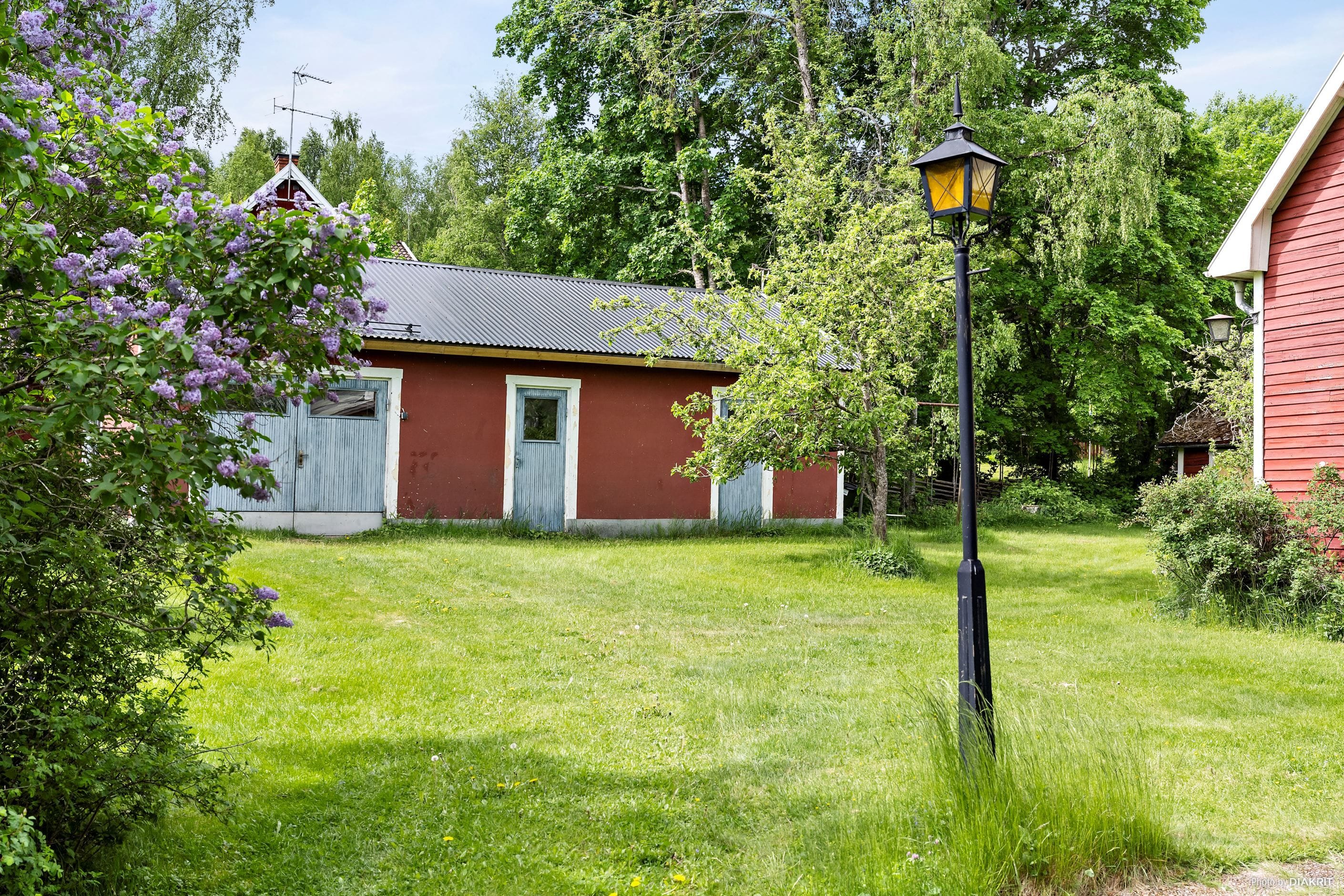 Exteriör