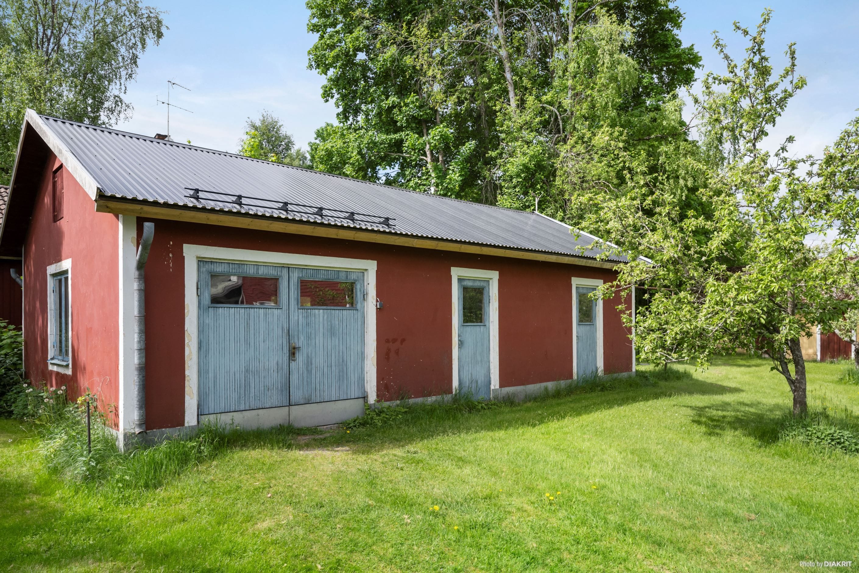 Exteriör