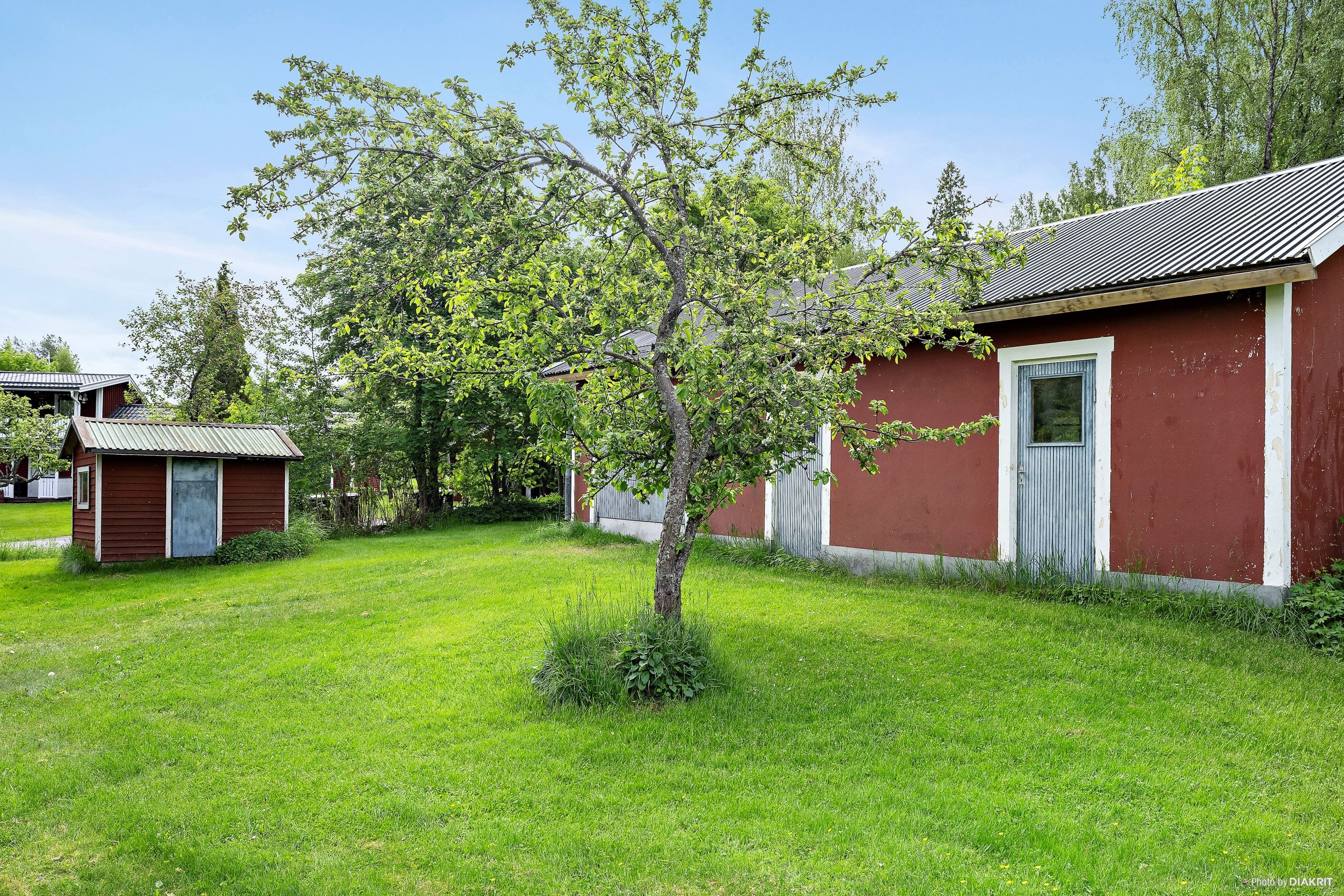 Exteriör