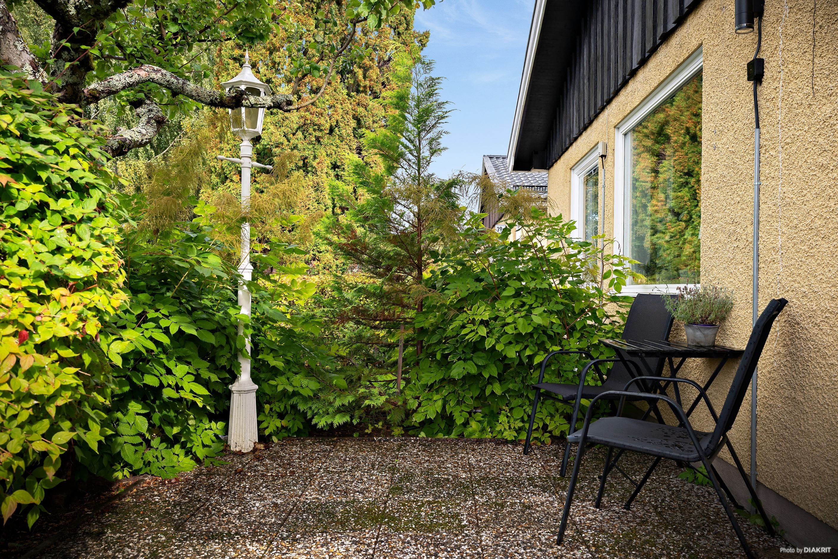 Exteriör