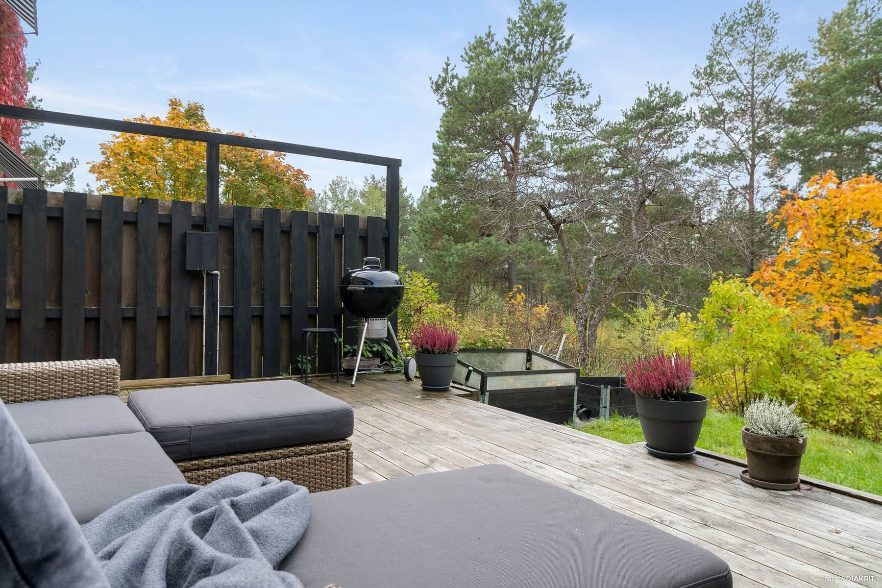 Stor träaltan på baksidan som vetter mot det fina angränsande naturområdet