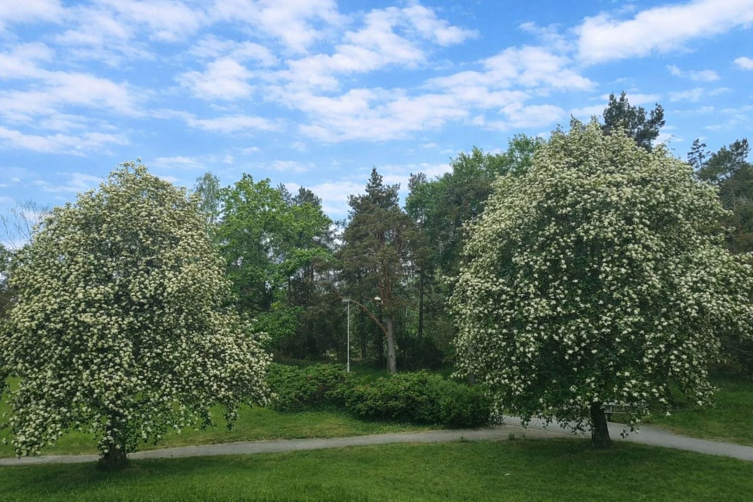 Vacker utsikt från balkongen