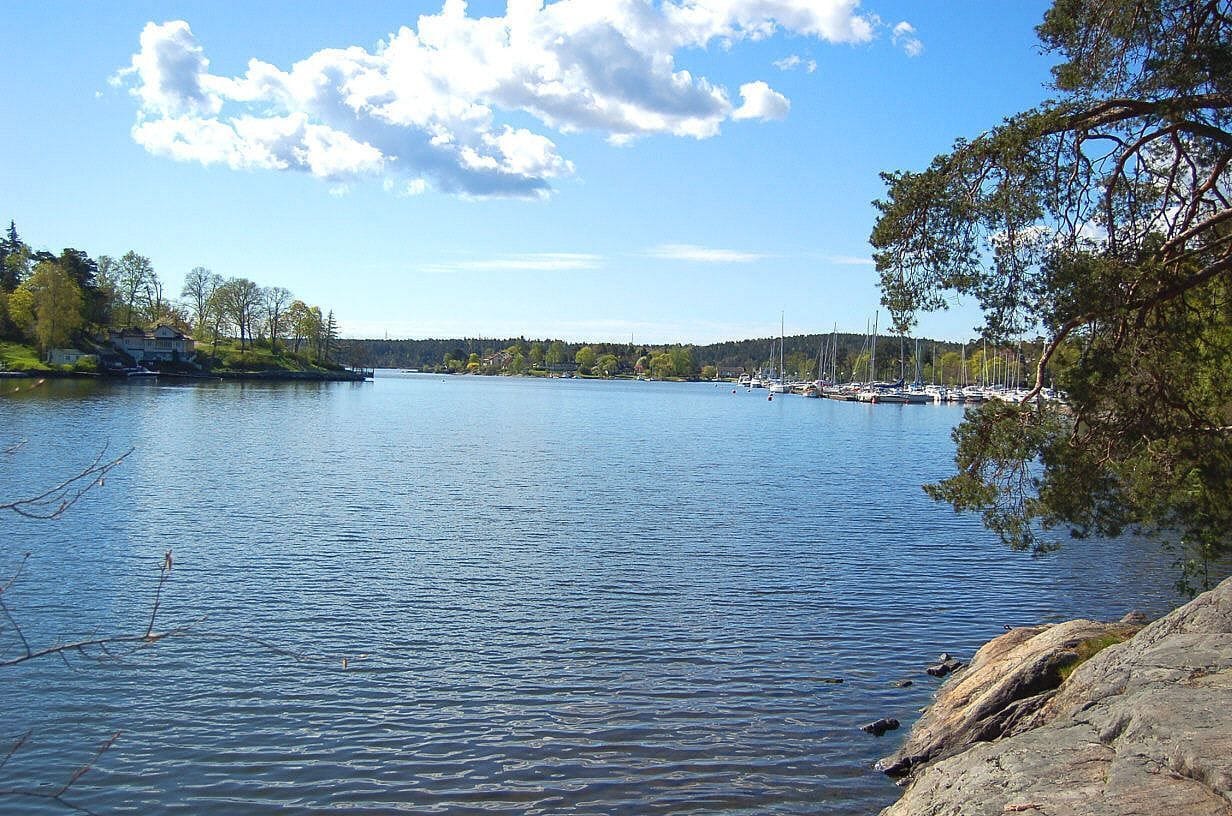 Vy över vattnet från Skuruparken