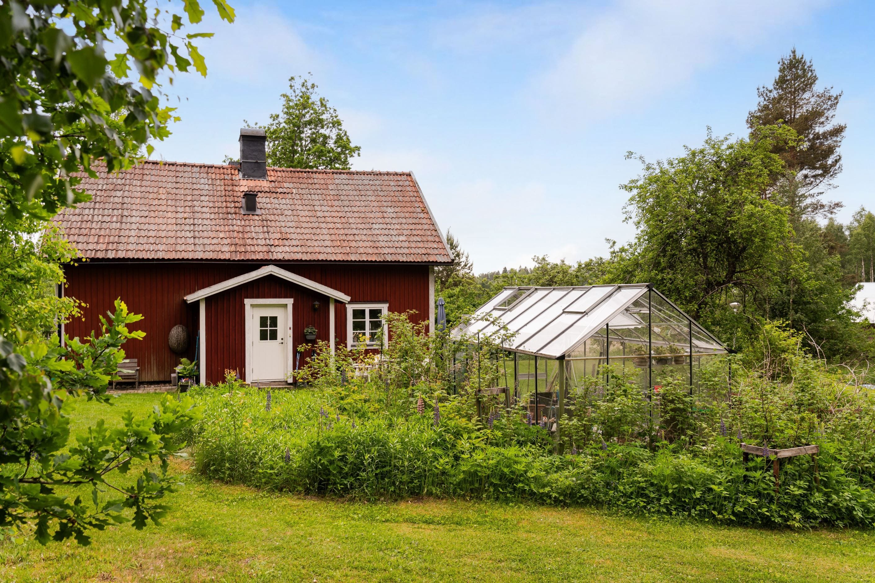 Växthus