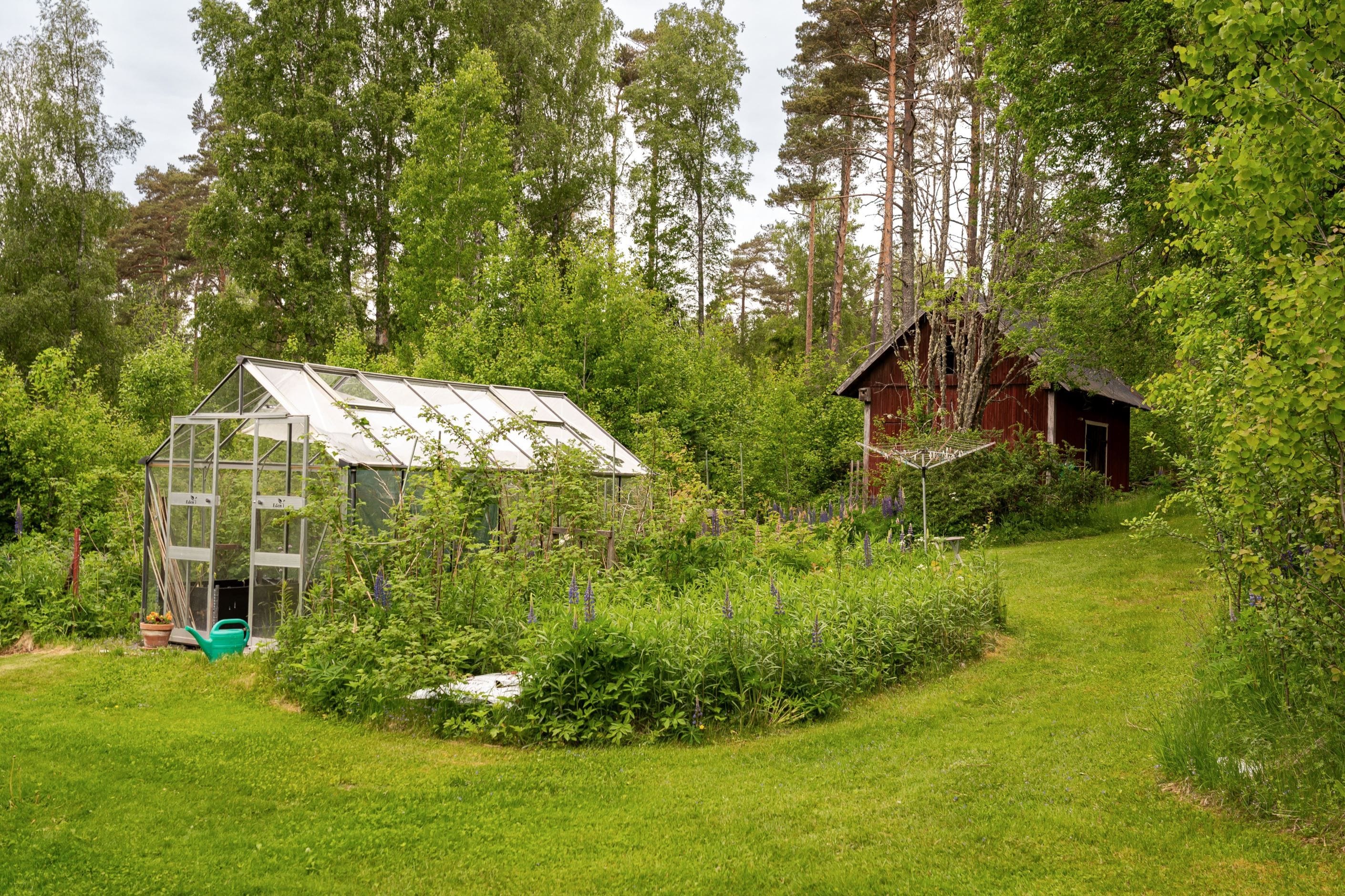 Växthus