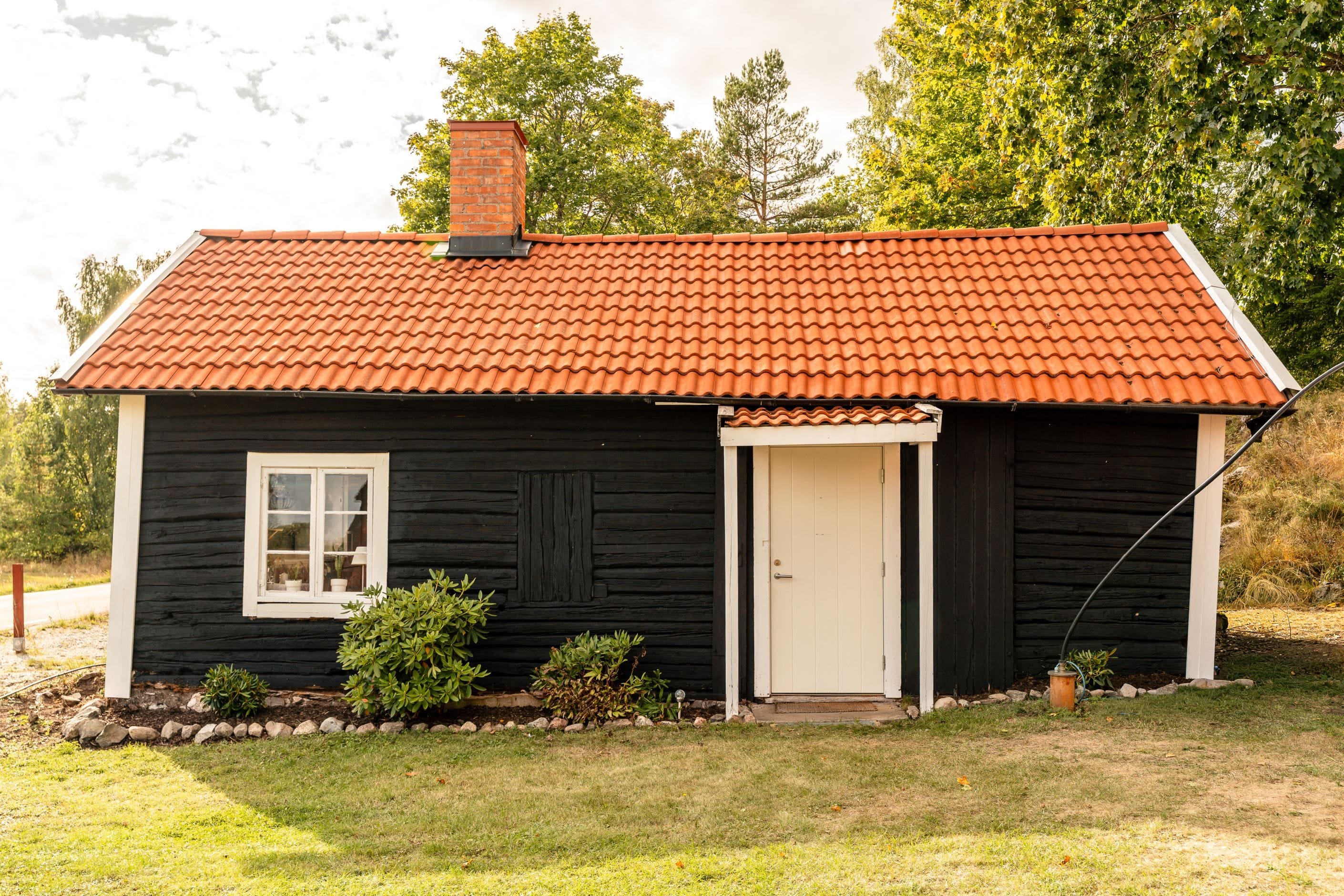 Exteriör